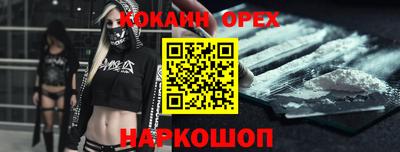 молекула духа Камышлов