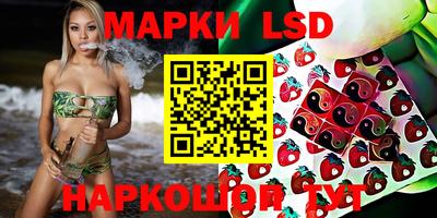 мдпв Кандалакша