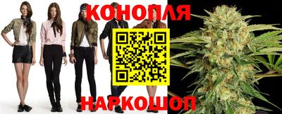 молекула духа Камышлов