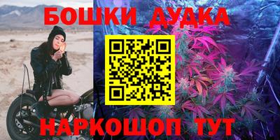 молекула духа Камышлов