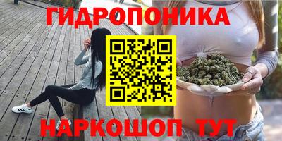 молекула духа Камышлов