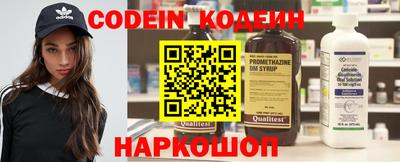 молекула духа Камышлов