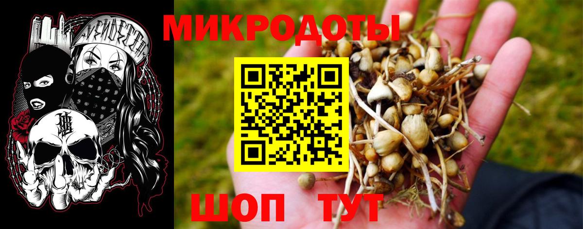 Псилоцибиновые грибы ЛСД Лесосибирск