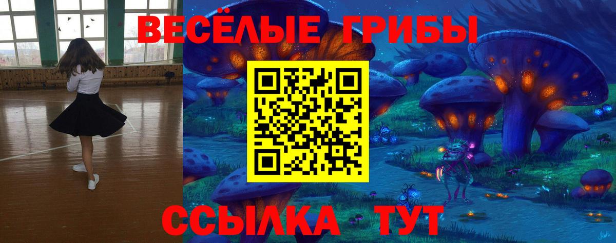 Псилоцибиновые грибы Cubensis  Вход с VPN  Лесосибирск 